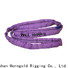 Best nylon bridle slings 5000kg company for lashing