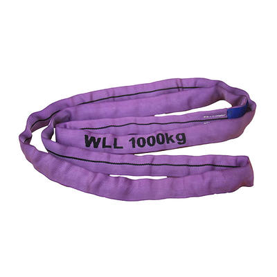 Polyester Endless Webbing Sling with Low Price